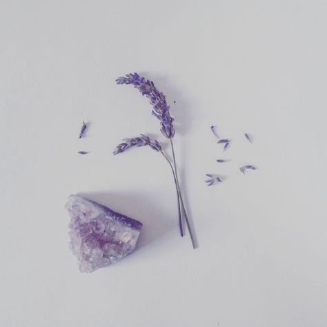 Violet Aesthetic, Yennefer Of Vengerberg, Purple Vibe, Lavender Aesthetic, Purple Themes, Gray Aesthetic, Purple Love, January 19, Witch Aesthetic