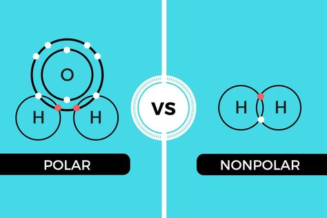 Polar Molecules, Chemical Bonds, Chemical Bond, Biology, Chemistry, Science, Google Search, Collage, Pins