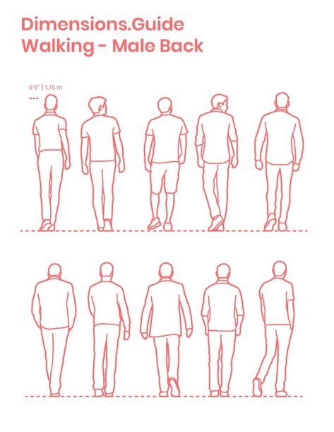 Collection of humans, men in particular, walking in back profile with various postures and stances. The average height of this group of males is set at 5’9” | 1.75 m. Both outlined and detailed silhouettes are available as useful figures for adding human scale to drawings.  Downloads online #humans #people #men #males #walking How To Draw People Walking, Front Facing Walking Reference, Person Walking Reference Front View, People From Behind Reference, Walking Front View, Clothing Silhouettes, Walking Drawing, Sketch Silhouette, Posture Drawing