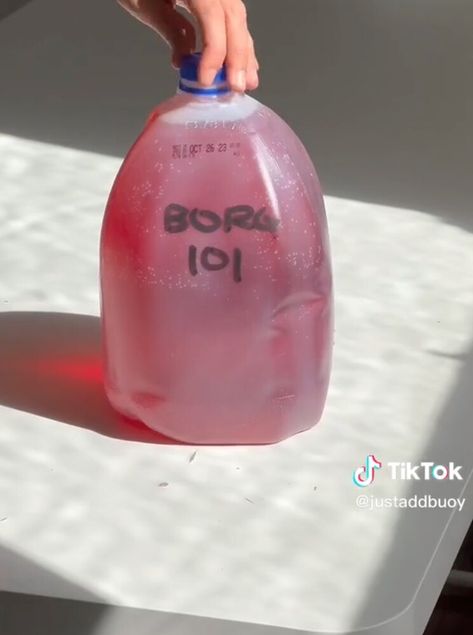 What Is A BORG? Gen Z’s Go-To Drink Is Going Viral Borg Drink Recipe, Funny Borg Ideas, Borg Recipe Alcohol, Borg Recipe, Borg Party, Borg Drink, Borg Names, Borg Ideas, 20th Bday