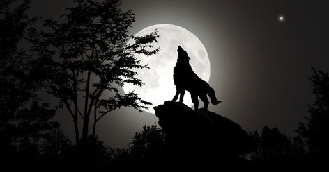 Werewolf Background, Wolf Wallpaper Laptop, Wolf Laptop Wallpaper, Wolf Wallpaper 1920x1080, Pc Wallpaper 2560x1440, Wolf Banner, Desktop Wallpaper 1920x1080, Lone Wolf Quotes, Hypebeast Iphone Wallpaper