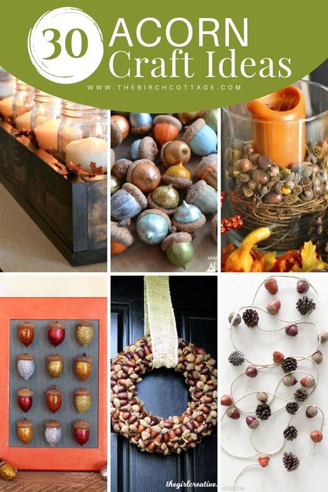 30 Acorn Craft Ideas - The Birch Cottage Acorn Diy Decor Fall Crafts, Acorn Craft, Acorn Painting, Acorn Garland, Acorn Decorations, Indoor Crafts, Fall Acorns, Acorn Crafts, Fun Fall Crafts