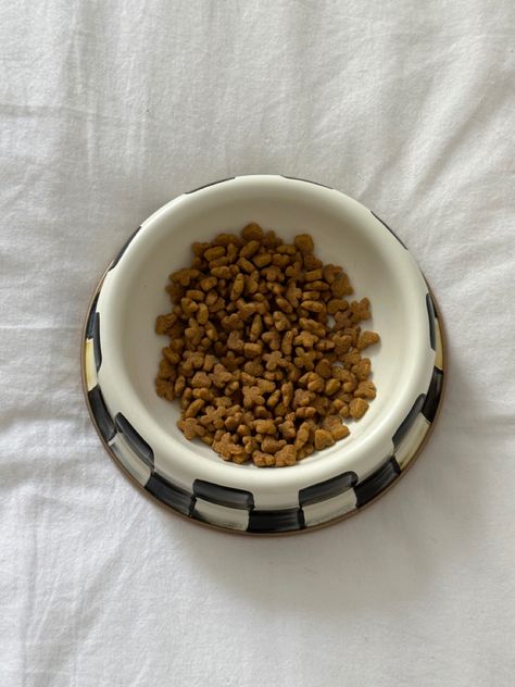 Dog Bowl Aesthetic, Cat Bowls Aesthetic, Pet Bowl Aesthetic, Dog Food Bowl Aesthetic, Aesthetic Dog Bowls, Aesthetic Cat Bowls, Cat Food Bowl Aesthetic, Ceramic Aesthetic, Cat Mood