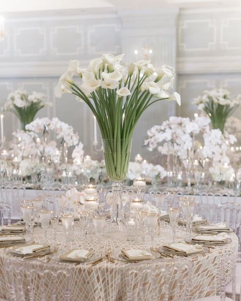 Amazing modern centerpieces designed with calla lilies and orchids 💚 floral desig Calla Lily Wedding Centerpiece, Lilies And Orchids, Small Table Centerpiece, Calla Lily Centerpieces, Lily Centerpieces, Fun Wedding Decor, Calla Lily Wedding, Modern Centerpieces, Wedding Decoration Ideas