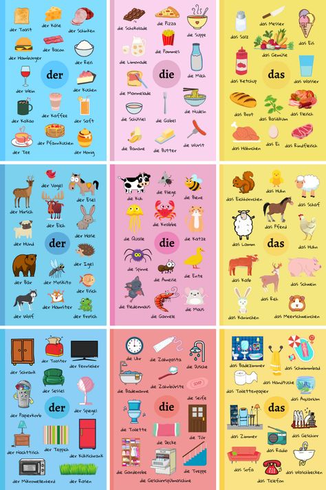 German Animals Vocabulary, German Nouns With Articles, Animals In German Language, Language Learning Notebook Ideas German, How To Study German, German Notebook Cover, German Study Worksheets, German To English Study Sets, How To Learn German