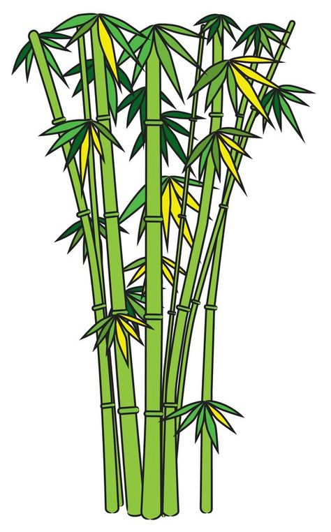 How to Draw Bamboo -- via wikiHow.com Bamboo Image, Bamboo Drawing, Painting Bamboo, Bamboo Landscape, Tree Drawings Pencil, Drawing Tutorials For Beginners, Bamboo Bathroom, Bamboo Art, Bamboo Tree