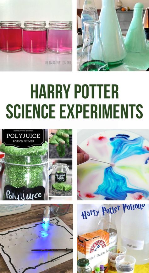 Harry Potter Science, Harry Potter Unit Study, Potions For Kids, Simple Science Experiments, Harry Potter Classes, Harry Potter Activities, Harry Potter Day, Science Experience, Classe Harry Potter