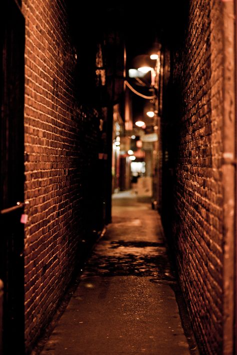 I love alleyways at night Dark Alleyway, The Glass Menagerie, Dark Street, Explore City, Crescent City, New Backgrounds, City Photography, Dark Photography, City Aesthetic