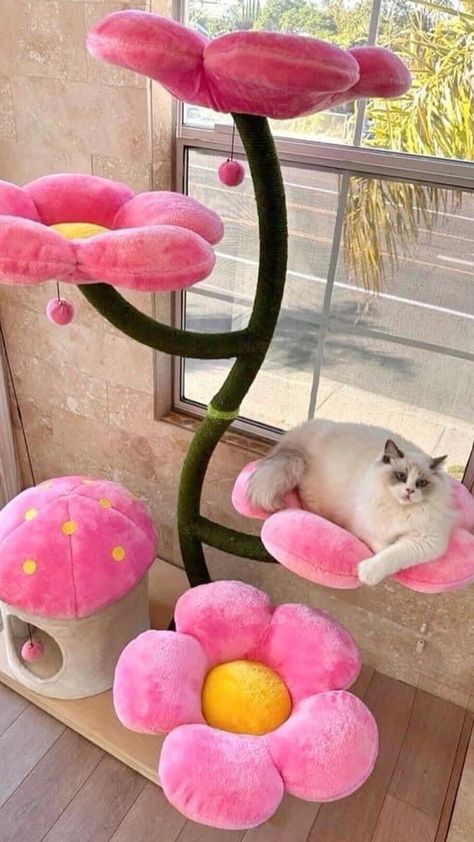 Aesthetic House Furniture, Cute Cat Decorations, Cat House Decor Ideas, Boho Cat Tower, Cool Cat Houses, Cute Cat Outfits For Cats, Cute Cat Tree Ideas, Cat Bedroom Pets, Pet Bedroom Ideas Cats