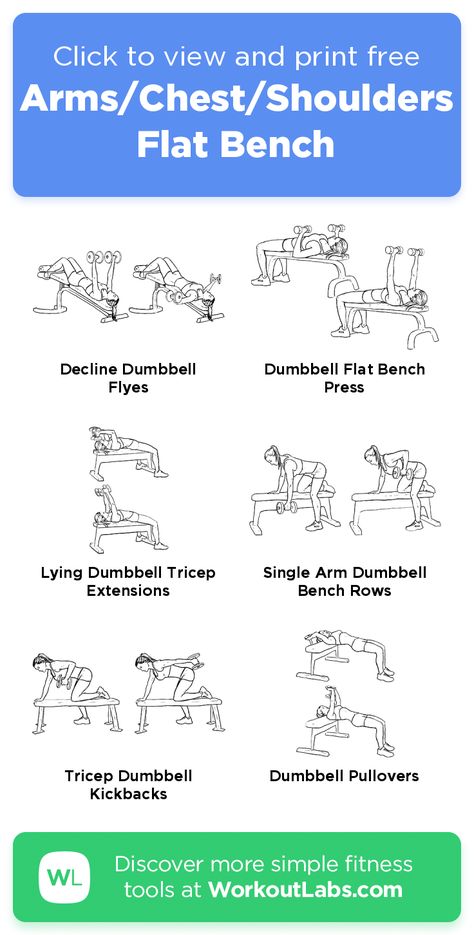 Weight Bench Dumbell Workout, Bench Exercises Workout, Home Workout With Bench, Adjustable Bench Workout, Arm Workout On Bench, Workouts With A Bench, Bench Dumbell Workout, Flat Bench Workout, Dumbbell Bench Workout