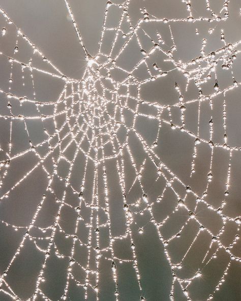 Joey Ramone, Consumer Insights, Contemporary Photography, Music Film, Photo Projects, New Perspective, Community Art, Spider Web, Art Inspo