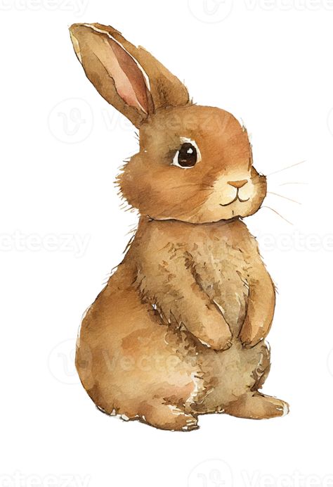 Cute Rabbit Illustration, Running Drawing, Woodland Rabbit, Abc Cards, Brown Rabbit, Rabbit Drawing, Brown Bunny, Paintings Ideas, Rabbit Illustration