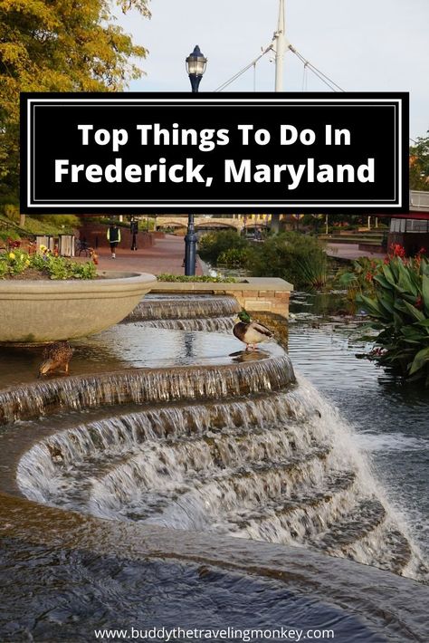 With a great fusion of new and old, there are plenty of fun things to do in Frederick, Maryland. In this post, see why Frederick is perfect for a weekend getaway in Maryland.     #Frederick #Maryland #travel Maryland Day Trips, Maryland Travel, Usa Trips, Frederick Maryland, Washington Dc Travel, Dc Travel, Destinations Travel, Michigan Travel, Us Travel Destinations