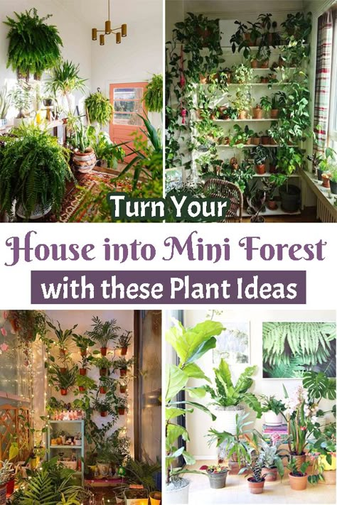 House Plants In Small Spaces, Small Rooms With Plants, Plant Rooms Bohemian, Indoor Plant Setup Small Space, Indoor Forest Home, House Plant Collection, House Plant Jungle, How To Organize Plants Indoors, House Full Of Plants Aesthetic