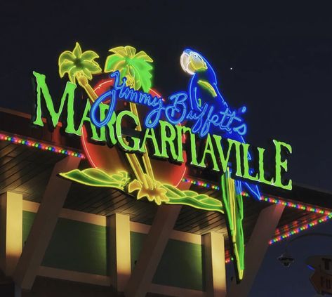 Margaritaville Aesthetic, Bday Themes, Senior Thesis, 5 Senses, Jimmy Buffett, 21st Birthday, Fantasy Character Design, Summer Aesthetic, American Girl Doll