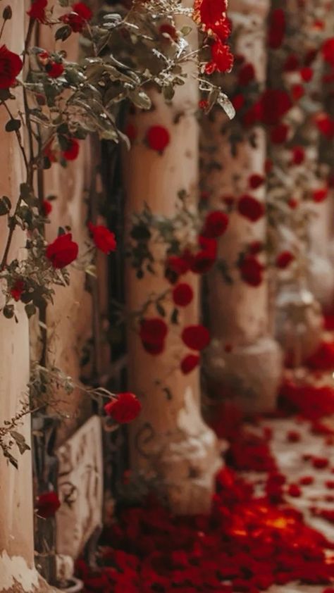 Aesthetic Red Rose Wallpaper, Red Royalcore, Red Roses Wallpaper Aesthetic, Ruby Red Aesthetic, Rose Petals Aesthetic, Red Era Aesthetic, Juliette Aesthetic, Rose Widget, Soft Romantic Aesthetic