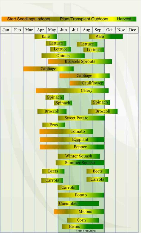 Zone 5 Gardening, Vegetable Planting Calendar, Seedlings Indoors, When To Plant Vegetables, Tattoo Plant, Planting Calendar, Vegetable Garden Planning, Gardening Zones, Garden Calendar