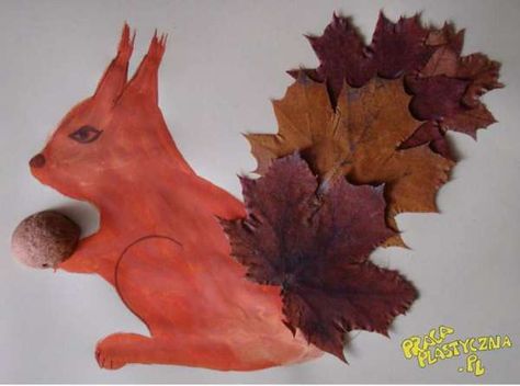 As I sit here watching my squirrel “kids” eat nuts we put out after the rain I want to make squirrel art. There are lots of leaves down after the rain as well so it is perfect timing to make … Read More... Squirrel Tail, Leaf Collage, Squirrel Art, Kids Fall Crafts, Leaf Crafts, A Squirrel, After The Rain, Fall Crafts For Kids, Autumn Crafts