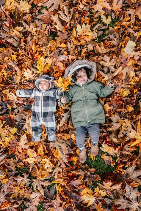 Family Fall Photoshoot Ideas, Homemade Gyoza, Family Fall Photoshoot, Fall Photoshoot Family, Fall Baby Pictures, Fall Photoshoot Ideas, Kids Falling, Autumn Family Photography, Toddler Photoshoot