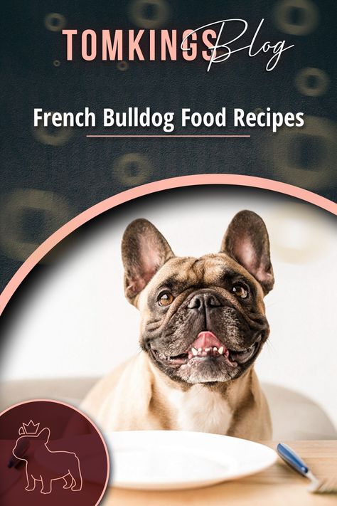 Frenchie Dog Food Recipe, French Bulldog Food Recipes Homemade Dog, Frenchie Food Recipe, Homemade Dog Food For French Bulldogs, French Bulldog Food Recipes, Frenchy Puppies, Bulldog Recipe, Healthy Dog Biscuits, Easy And Quick Recipes