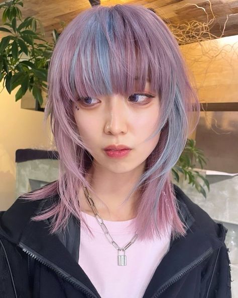 Jelly Fish Haircut Korean, Pink And Purple Aesthetic Outfit, Purple Hair Dye Ideas, Hair Dye Ideas For Short Hair, Jellyfish Hairstyle, 2 Tone Hair Color, Jellyfish Haircut, Pastel Purple Hair, Blue And Pink Hair