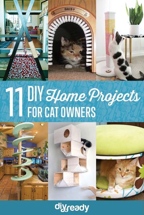 11 Creative DIY Home Projects for Cat Owners Diy Jouet Pour Chat, Katt Grejer, Chat Diy, Gatos Cool, Diy Cat Tree, Diy Home Projects, Diy Cat Toys, Cats Diy Projects, Cat Hacks