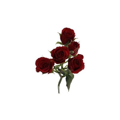 Red Pngs Aesthetic, Red Rose Png, Rose Home Decor, Red Centerpieces, Rose Flower Arrangements, Dark Red Roses, Flower Home Decor, Rosé Png, Rose Centerpieces