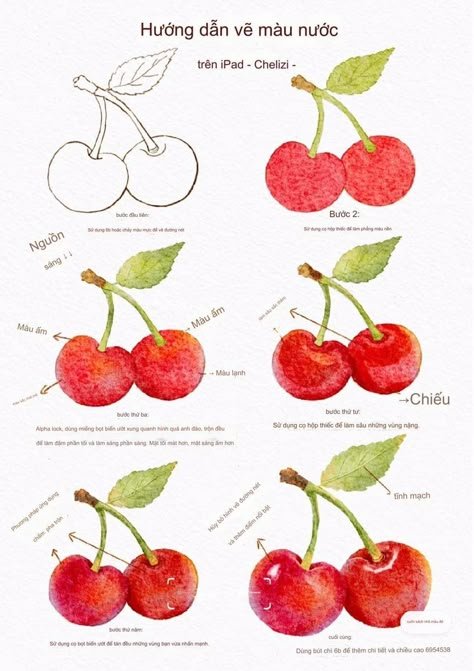 Cherry Watercolor Painting, Cherry Watercolor, Colored Pencil Artwork Ideas, Watercolor Food Illustration, Food Art Painting, Fruits Drawing, Flower Drawing Tutorials, Water Coloring, Colored Pencil Artwork