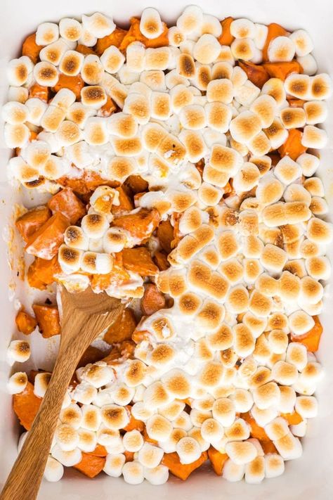 Candied Yams - Recipes Food Fresh Sweet Potato Recipes, Thanksgiving Yam Recipe, Recipe Marshmallows, Thanksgiving Yams, Candied Yams With Marshmallows, Yams With Marshmallows, Iced Pumpkin Cookies, Candied Yams Recipe, Sweet Potatoes With Marshmallows