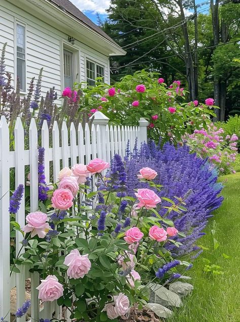 Rose Flower Bed Ideas, Lilac Bush Landscaping Front Yards, Front Yard Rose Garden, Flower Garden Front Yard, Yard Flower Bed Ideas, Front Yard Flower Bed Ideas, Front Yard Flower Bed, Design A Garden, Dream Garden Backyards