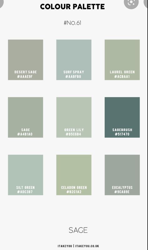 Mint Green Hex Code, Soft Green Color Palette, Mint Color Palettes, Beautiful Bedroom Colors, Coastal Color Palette, Soft Green Color, Pantone Colour Palettes, Mexico House, Simple Drawings