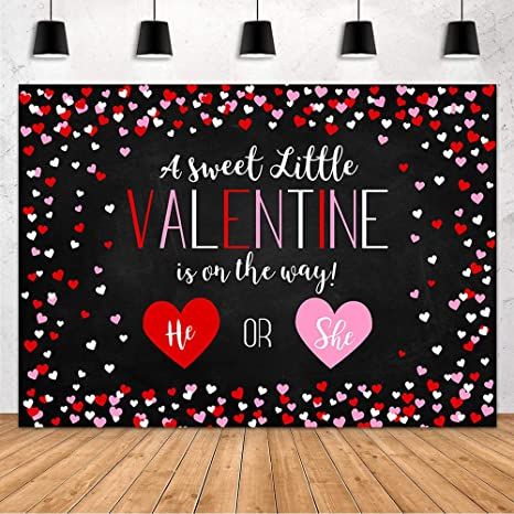 Valentine Gender Reveal, Valentines Gender Reveal, Gender Reveal Backdrop, Photo Studio Props, Baby Shower Photography, Shower Backdrop, Outdoor Party Decorations, Baby Shower Backdrop, Sweet Valentine