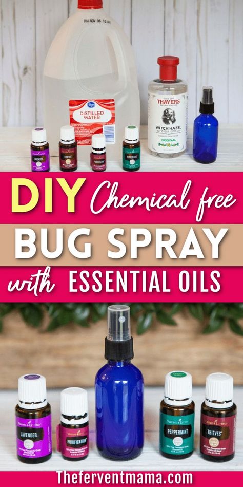 The Fervent Mama shares a DIY bug spray with essential oils. Need a bug spray but don't want harsh chemicals? Make this DIY bug spray with your favorite essential oils! It kills the bugs while making your house smell good! Young Living Bug Spray, Homemade Bug Spray Essential Oils, Diy Misquote Spray, Diy Essential Oil Bug Spray, Young Living Bug Spray Recipe, Bug Spray Essential Oils, Essential Oil Bug Spray Recipe, Diy Bug Repellent Spray, Essential Oil Sprays