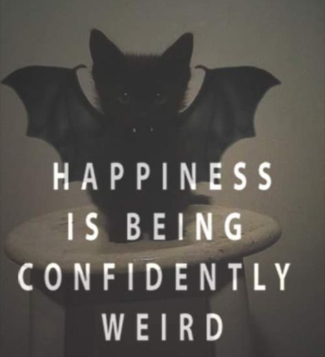 Bat 🐱 Stay Weird Quotes, Weirdo Quotes, Life Quotes Tumblr, Crazy Quotes, Tumblr Quotes, Breakup Quotes, Wise Words, A Black, Quotes To Live By