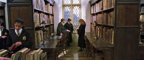 Hogwarts Library | Harry Potter Wiki | Fandom Library Harry Potter, Harry Potter Library, Hogwarts Library, Harry Potter Theme Birthday, Harry Potter Wiki, Secret Passages, Harry Potter Hermione Granger, Hogwarts Aesthetic, Hogwarts Castle