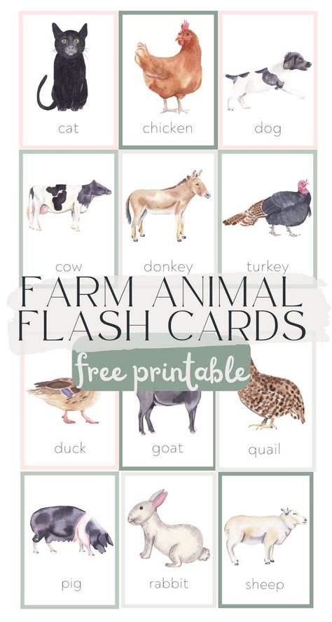 Montessori, Printable Animal Pictures, Animal Flash Cards, Farm Animals Pictures, Baby Flash Cards, Toddler Printables, Farm Animals Activities, Flashcards For Toddlers, Animal Printables