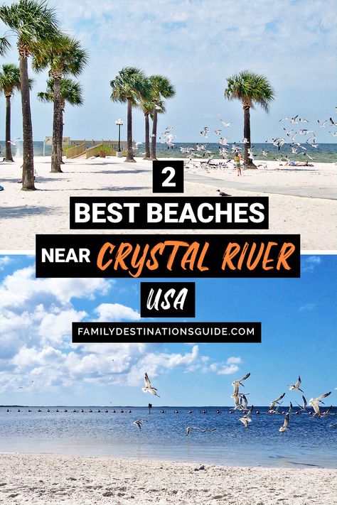 Want to see the top beaches close to Crystal River? Want ideas for a Crystal River beach vacation that’s fun and safe? We’re FamilyDestinationsGuide, and we’re here to help: Discover the best beaches NEAR Crystal River, FL - so you get memories that last a lifetime! #crystalriver #crystalriverbeachvacation #crystalriverbeaches #nearcrystalriver #crystalrivervacation Crystal River Florida Things To Do, Crystal River Florida, River Kayaking, Fl Beaches, Vacation Florida, Florida Adventures, Sanibel Island Florida, Florida Trip, Gulf Coast Florida