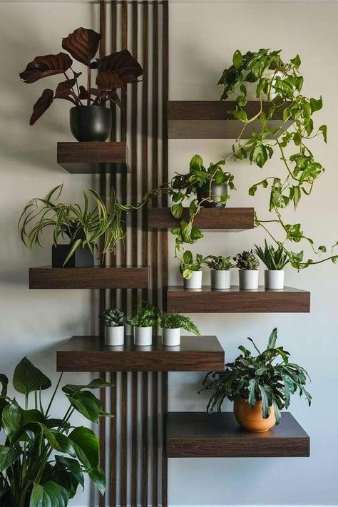 Floating Wooden Shelves, Living Room Plants Decor, Indoor Plant Display, نباتات منزلية, Living Room Plants, Plant Display, Plant Decor Indoor, House Plants Decor, Decor Home Living Room