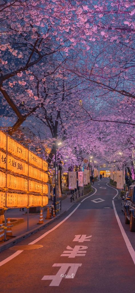 Japan Landscape, Japanese Landscape, Pretty Landscapes, Japan Aesthetic, Aesthetic Japan, Japanese Aesthetic, Pretty Wallpapers Backgrounds, Anime Scenery Wallpaper, City Aesthetic