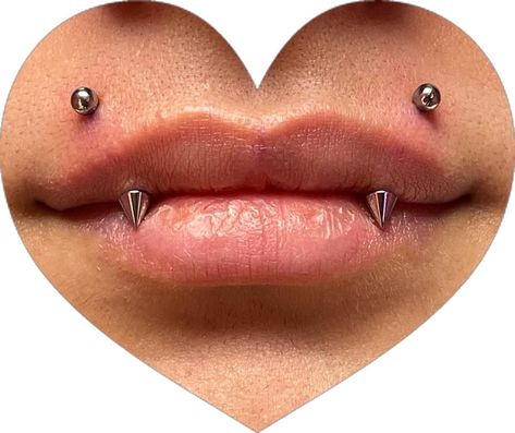 Angle Bite Fangs Piercing, Angel Bite Piercing Fangs, Gold Piercings Aesthetic Face, Angle Fangs Piercings, Angel Fang Piercing, Smiley Piercing Fangs, Fang Piercing, Different Nose Piercings, Angel Fangs Piercing