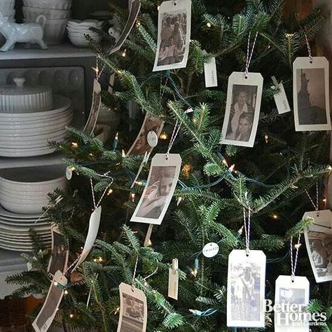 Diy Photo Ornaments, Photo Christmas Tree, Creative Christmas Trees, Memory Tree, Cottage Christmas, Photo Ornaments, Noel Christmas, Christmas Tree Themes, Christmas Tag