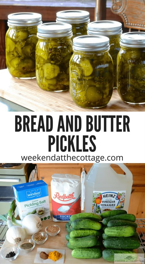 Cucumber Preserving, Canned Cucumber Recipes, Pickles For Canning, Canning Cucumbers, Canning Bread, Canning Recipes For Beginners, Bread N Butter Pickle Recipe, Pickled Recipes, Pickle Recipes Homemade