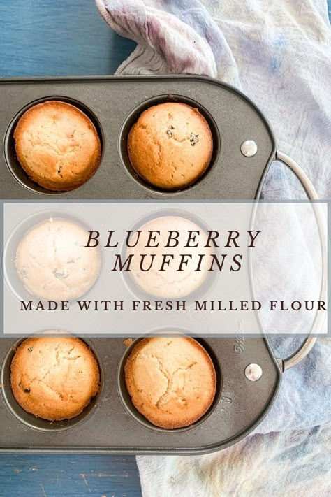 Fresh Milled Flour Blueberry Muffins, Freshly Milled Flour Muffins, Fresh Milled Muffin Recipes, Fresh Milled Muffins, Fresh Milled Flour Muffins, Milled Flour Recipes, Fresh Milled Flour Recipes, Milling Grains, Bread Beckers