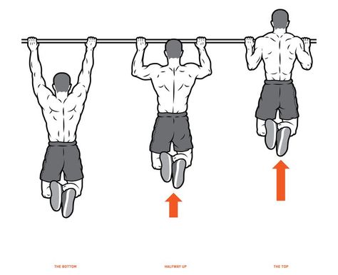 Pull-ups Inverted Row, Rotator Cuff Injury, Strong Back, Arm Muscles, Calisthenics Workout, Shoulder Muscles, Gym Classes, Pull Up Bar, Upper Body Strength