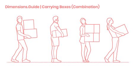 People Carrying Boxes - Combination Dimensions & Drawings | Dimensions.com People Figures Drawing, Carrying Something Pose Reference, Carrying A Box Reference, Carrying Books Pose Reference, Carrying Box Pose Reference, Carrying Pose Reference, Sketch People, Landscape Design Drawings, Carrying Boxes