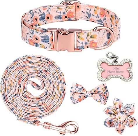 Dog Collar and Leash Set, Cute Detachable Bow Tie and Flower, Girl Dog Collar with Handwrite Dog Tag for Girl Boy Dog Collar and Leash (S, Orange) : Amazon.ca: Pet Supplies Cute Names For Dogs, Dog Collar And Leash, Dog Collar Boy, Cute Dog Collars, Dog Name Tags, Girl Dog Collars, Small Animal Supplies, Girl Dog, Kinds Of Dogs