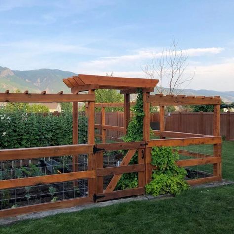 10 Inspiring Garden Fences | The Family Handyman Cedar Post Fence, Garden Enclosure Ideas, Cheap Garden Fencing, Garden Mesh, Diy Garden Fence, Veg Garden, Vegetable Garden Design, Backyard Fences, Garden In The Woods