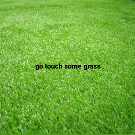 Go Touch Some Grass Reaction Pic, Touch Grass Nah Bro Touch Me Instead, Touching Grass Aesthetic, Touch Grass Reaction Pic, Grass Wallpaper, Daily Mood, Psychology Quotes, Iphone Background Wallpaper, Know Who You Are