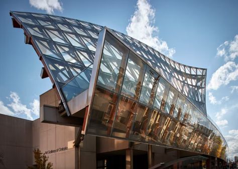 Image courtesy Art Gallery of Ontario Toronto Art Gallery, Art Gallery Of Ontario, Royal Ontario Museum, Frank Gehry, Downtown Toronto, Canadian Art, Ontario Canada, Art Galleries, Large Art