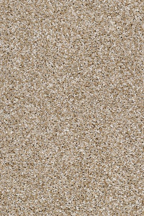 Composure - Clarity Iranian Carpet, Shaw Flooring, Deep Carpet Cleaning, Fur Carpet, Shaw Carpet, Carpet Texture, Carpet Samples, Cheap Carpet Runners, Low Pile Carpet